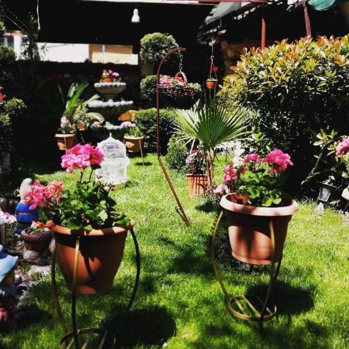 Gala-Garden Hotel Bitola Buitenkant foto